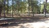 IMG-20190917-WA0010.jpeg IMG-20190917-WA0010.jpeg