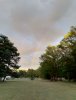 IMG-20190708-WA0014.jpg IMG-20190708-WA0014.jpg