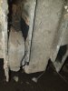 20200913_100458.jpg
