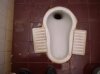 old Mo's Bog.jpg