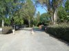 DSC00435 (600 x 450).jpg