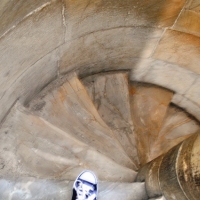Pisa 2014