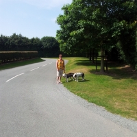 2013 07 13 10.23.31 (600x800) (600x800)
