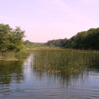 A huge fresh water lake deep in the forest that we would not have found without an OS map.