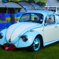 Love Bug
