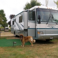 Camping La Route D'or
Plenty of space