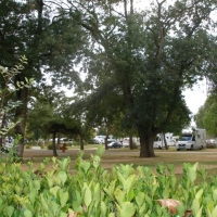 Next to the Loire river