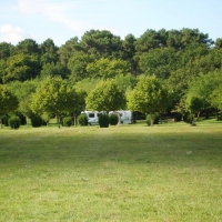 A very large site on the edge of the forest