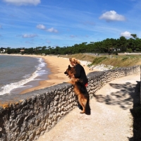 A half hour walk to the sea.