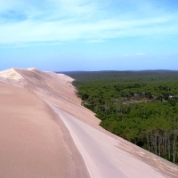 The site is next to the biggest sand dune in Europe. 
Really something to see.