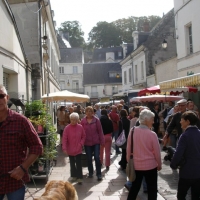 Market day in the town of Loches