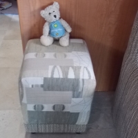 It was looking a little bear