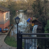 garden Feb 2014