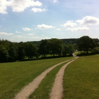 i phone pictures july 2011 008