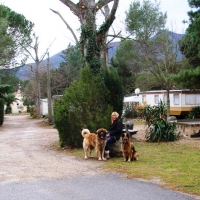 Camping Castilettes on the French/Spanish border (again)
A regular stop off for us.