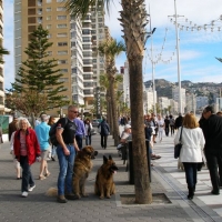 Benidorm