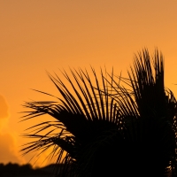 Algarve Sunset