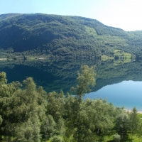 where does the water end and the forest start