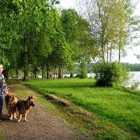The Loire.