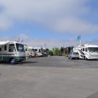DSC 0158