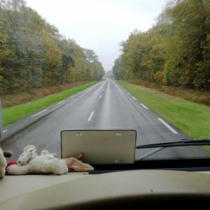 IMG_20181101_134013.jpg