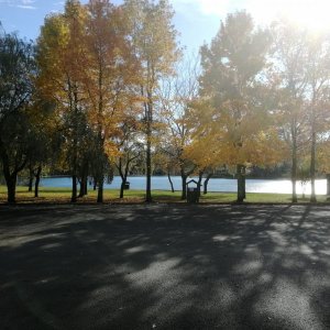 IMG_20181109_112022.jpg