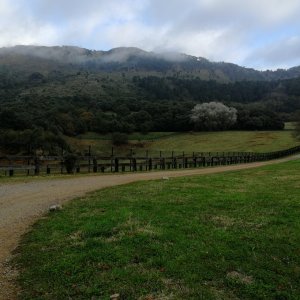 IMG_20181110_102527.jpg