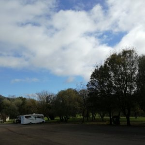 IMG_20181110_104921.jpg