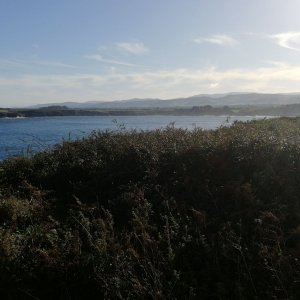 IMG-20181112-WA0001.jpeg