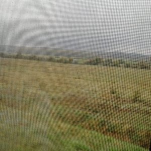 IMG-20181101-WA0020.jpg