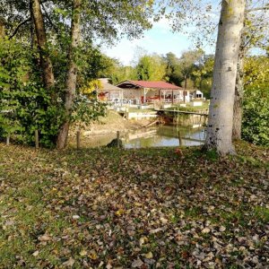 IMG-20181102-WA0006.jpg