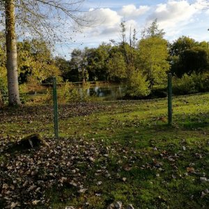 IMG-20181102-WA0005.jpg