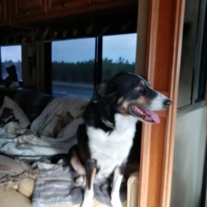 IMG-20181108-WA0023.jpg