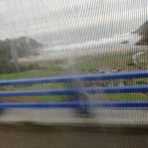 IMG-20181111-WA0006.jpg