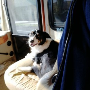 IMG-20181102-WA0003.jpg