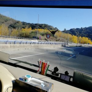 IMG-20181113-WA0009.jpg