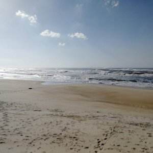 IMG-20181116-WA0013.jpg