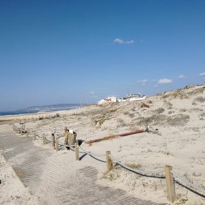 IMG-20181116-WA0014.jpg