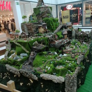 IMG_20181124_104016.jpg
