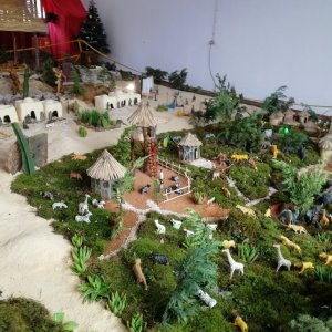 IMG_20181211_122208.jpg