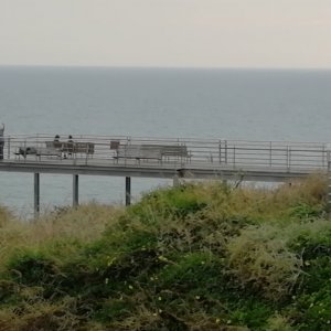IMG_20181211_142505.jpg