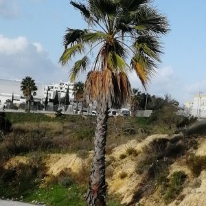IMG_20181213_143356.jpg