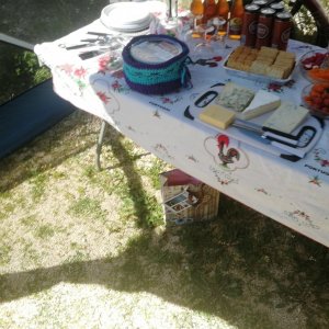 IMG_20190319_134226.jpg