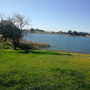 IMG_20190320_154845.jpg