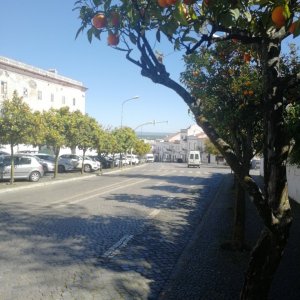IMG_20190320_110945.jpg
