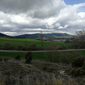 IMG_20190403_142901.jpg