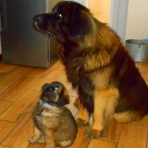 DSCN1538.JPG