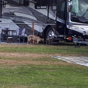 20190712_121004.jpg
