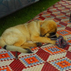 DSCN1581.JPG