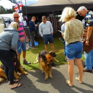 DSCN1588.JPG